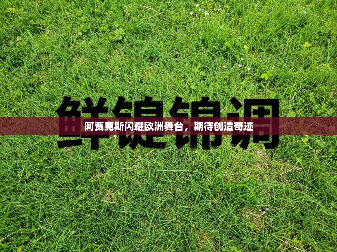 阿贾克斯闪耀欧洲舞台,期待创造奇迹 第2张