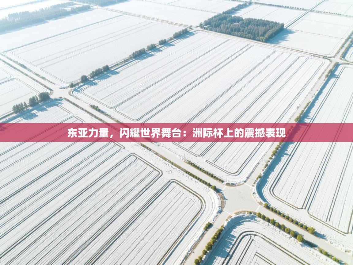 东亚力量,闪耀世界舞台:洲际杯上的震撼表现 第1张