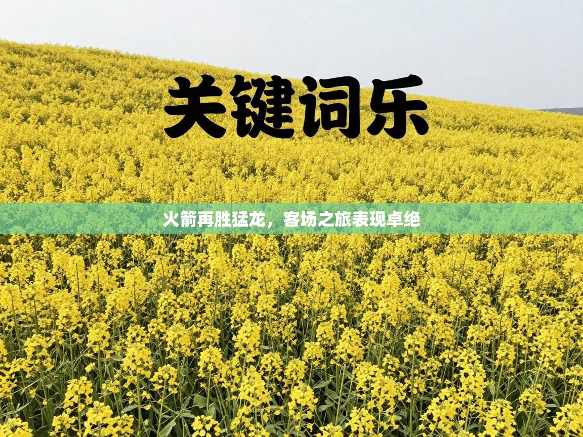 火箭再胜猛龙,客场之旅表现卓绝 第2张