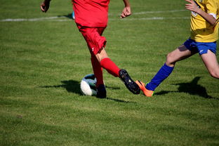 爱游戏体育-世界围棋赛多国选手展现东亚围棋影响力，东南亚围棋  第3张